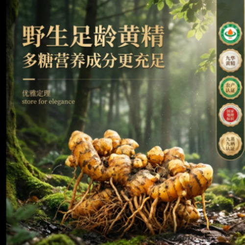 电商生图案例